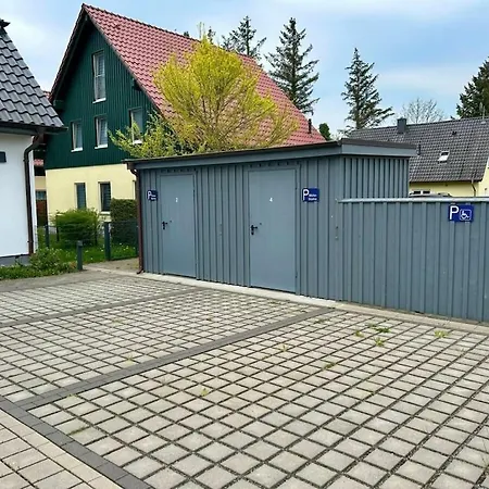 Dandelion - House Summer Meadow Zingst